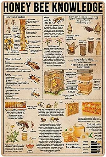 Ppfine мед пчела анатомија знаење метал калај знак мед пчела ретро постер wallидна уметност деко фарма дома кујна клуб плакета 8x12