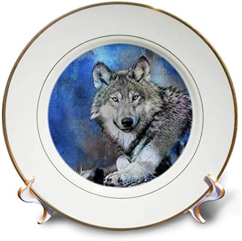 Плоча за илустрации на 3 -синиот волк на волк, 8 , бела