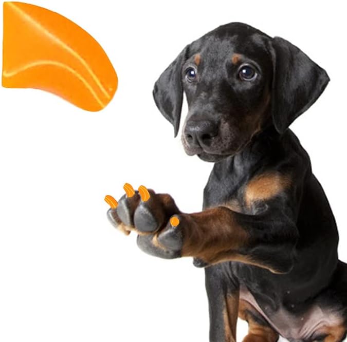 Убави Канџи 1 Година Обезбедуваат Меки Капачиња за Нокти Со Лепило За Канџи За Кучиња - Флуоресцентен Портокалов Медиум