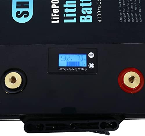 Шунбин Lifepo4 Батерија 100AH 48V Литиумска Батерија Со Заштита Од Бмс 4000+ Батерија За Длабоки Циклуси За RV/Кампер Соларна