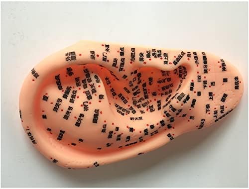 KH66ZKY Меридијан Модел За Масажа На Раце, Стапала И Уши - Модел На Рефлексна Зона На Стапала-Акупунктура За Масажа Моксибустија Точка