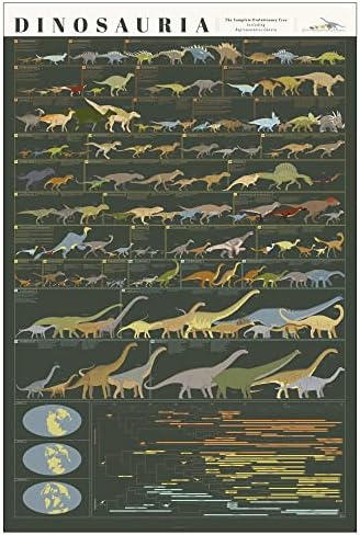 Поп-Табела | Диносаурија | Голем 24 х 36 Диносаурус Постер | Диносаурус Соба Декор За Дома Или Училница | Едукативна Шема На Дино Еволуција