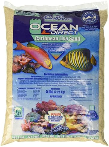 Carib Sea ACS00905 Океан директен природен жив песок за аквариум, 5 фунти