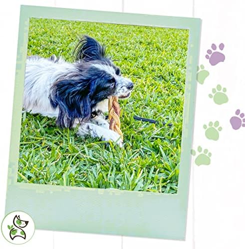 Плетени Силеџиски Стапчиња За Кучиња-Природни Стоматолошки Џвакачки Задоволства за Средни И Големи Раси - Коски За Кучиња Без Сурова Кожа 5-6