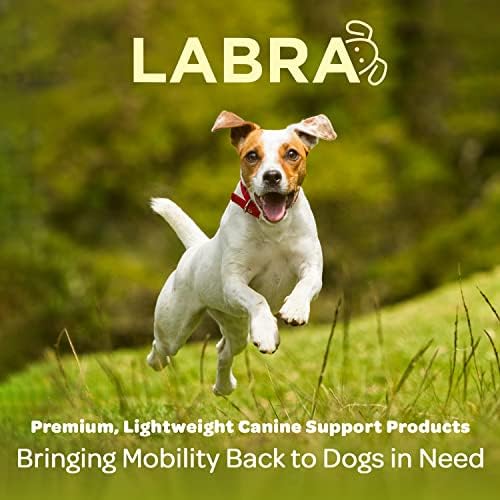 Лабра Куче Дополнителна Поддршка За Кучешки Компресија На Зглобот На Задниот Дел На Нозете За Обновување, Заштита и Спречување На Истегнување