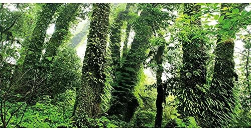 Awert 24x12 инчи длабока шума терариум позадина Фоги дождовни шуми Аквариум позадина Тропски огромни дрвја рептил живеалиште позадина винил