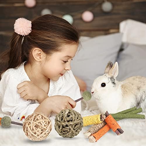 Играчки за играчки за зајаци од Јиксунд Гвинеја свињи играчки играчки за зајаче, 18 парчиња природни тимоти сено стапчиња јаболко