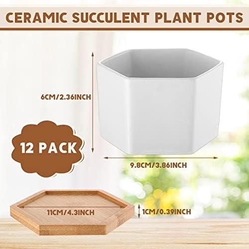 Meanplan 12 пакуваат мали сукулентни садови за растителни садови Масовно 4 инчи бели керамички садови со бамбус со чинии шестоаголни