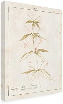 Трговска марка ликовна уметност „Цвеќиња на бело III со зборови„ платно уметност од портфолио на диви јаболка