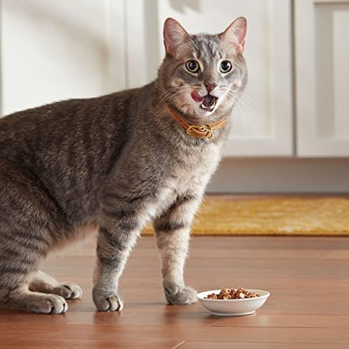 Meow Mix Tender Failites Влажна храна за мачки, мисирка и гибели, чаша од 2,75 унца