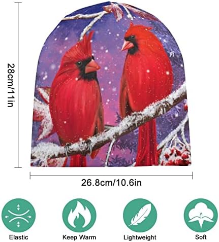 Црвена кардинална птица седи на снежни гранки, капаче од гравче меко топло целосна пулвер капаче за череп капа за спиење за унисекс