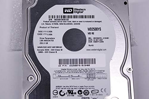 WD2500YS-01SHB0 Western Digital 250 GB 7200rpm SATA 3.0 Gbps 3,5 инчи RE хард диск