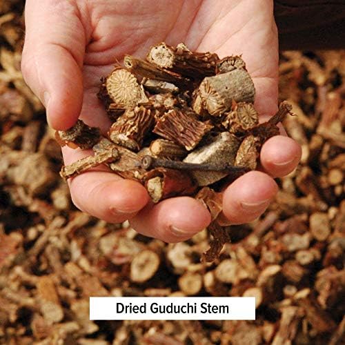 Banyan Botanicals Guduchi Stem Powder - USDA Organic, 1/2 фунта - Подмладна билка за варење, тен и виталност*