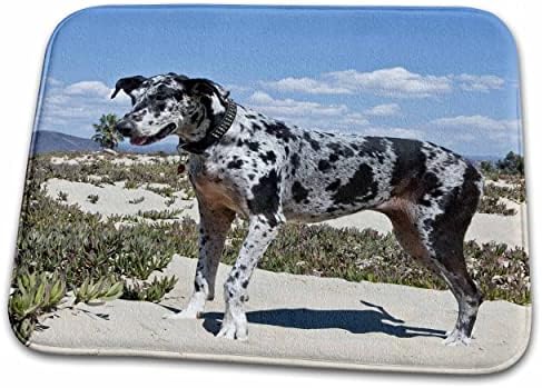 3дроза Големо Данско Куче Во Калифорнија-НА02 ЗМУ0152 -... - Бања Бања Килим Душеци