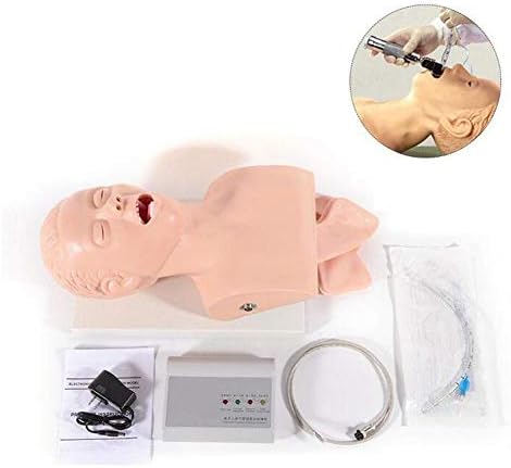 GHDE & MD INTUBATION, INTUBATION MANIKIN MODELURE MODEL, PVC Trainer TraCheal Intubation Training Simulator Model, Science Lab Education