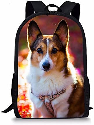 Coloranimal Fashion Child Book Schoolbag Welsh Corgi отпечатоци за дневни пакувања за патувања