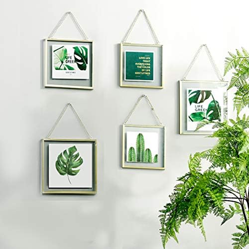 Висечка фото рамка за wallид, двојно стаклена слика за рамка за рамка за растителни примероци, сушен цвет, уметнички дела, обична