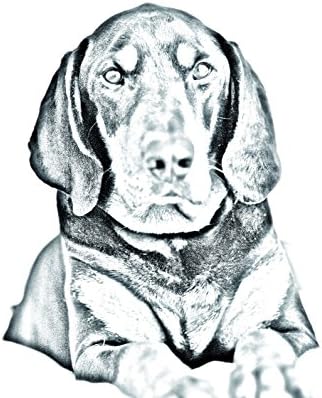 Црн и Тен Кунхаунд, Овален Надгробен Споменик Од Керамичка Плочка со Слика На Куче