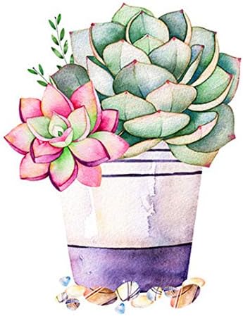 QGHZSCS боја по броеви дигитално сликарство DIY сликање цвеќиња уметнички кактус рачно изработена домашна декорација A4