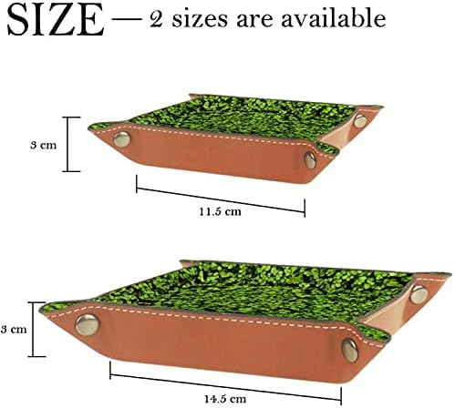 Зелено поле за природна детелина за кревет или плоча за чување на биро за влез