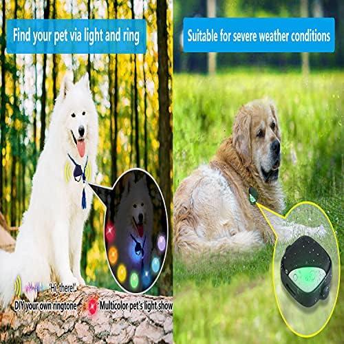 PETFON PET GPS Tracker, Без Месечна Претплата, Уред За Следење Јака во Реално Време, Контрола НА АПЛИКАЦИИ За Кучиња И Монитор За