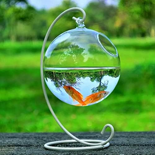 Wybfztt-188 1Set тркалезна форма висина стакло Аквариум риба сад риба Цветни растенија вазни транспарентно сферично стакло Рачно изработено резервоар за риба