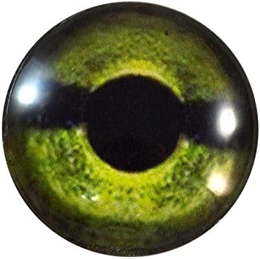 30мм зелена желка стакло око за таксидермиски скулптури или накит што прават занаети за приврзоци