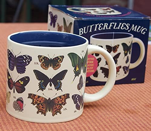 Шолја За Пеперутка Што Ја Менува топлината-Открива 18 Видови Со Вообичаени И латински Имиња На Дното