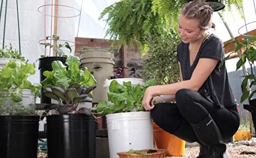 Grobucket Grotech Garden Garden Self Sathing Planter Insert - Автоматски систем за наводнување за кондензирани растенија - лесно