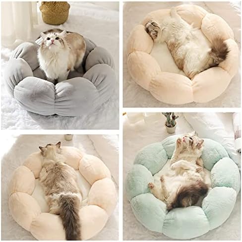 Цветна форма на мачки кревет и само-игра висина на глувчето за глувци за мачки за мачки или мали кучиња, дното против лизгање и