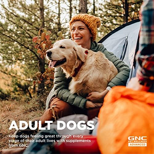 GNC Комбо Пакет За Домашни Миленици Напредни Високи Пакет-Колкот &засилувач; Заедничка Поддршка Додатоци За Постарите Кучиња,