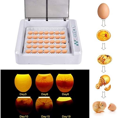 АЛРЕМО 103234536 Инкубатор За Јајца 36 Дигитална Контрола НА Температурата НА Хачер Лед Свеќник За Јајца Автоматско Вртење За