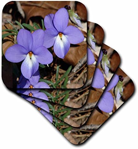 3дроуз Ли Хилер Хот Спрингс Национален Парк Диви Цвеќиња-Диви Цвеќиња Птици-Нога Темјанушки Дуо-сет од 8 Керамички Плочки Подлоги