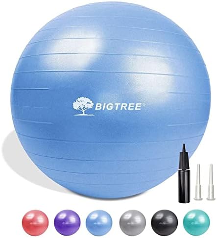 Вежба топка, биланс на јога топка пилатес анти-пука со стабилност на пумпата фитнес топка за раѓање стол за тренинг Основа за обука
