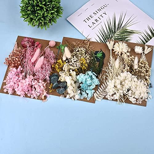 Даларан 7 пакет со притискање сушени цвеќиња повеќе шарени притиснати цвеќиња за занаетчиски смола накит што прави уметност занает DIY