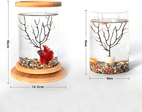 ЗЛБИБ 360 Степен Ротирачко Стакло Бета Рибен Резервоар Бамбус База Мини Аквариум Декорација Ротирај Риба Сад Аквариум Додатоци
