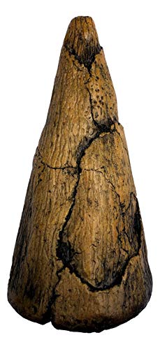 Реплика за шилеста на палецот Игуанодон - Репродукција на фосилни примероци на музејски квалитет на музеј