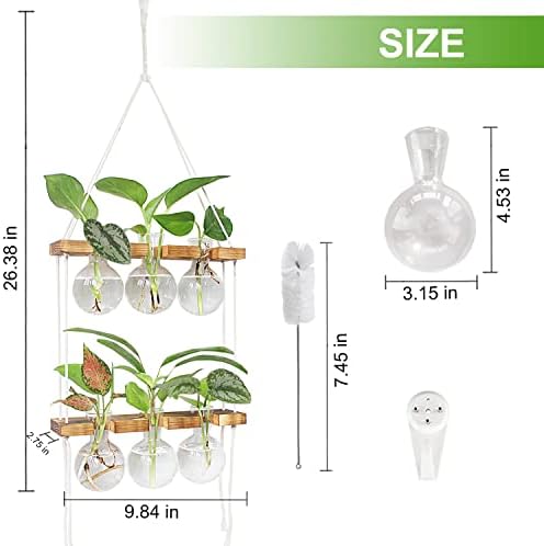 Станица за размножување на растенијата RenmxJ Wallид, 6 -сијалица од вазна 2, 2 нивоа дрвени држачи за фабрика, комплет за дома, градинарски