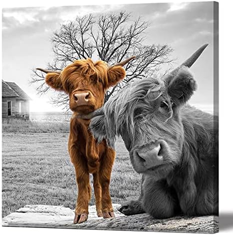 Rinsiken Highland Cow Canvas wallидна уметност црно -бело животно печати слики со високи добиток Фото врамена фарма куќа за сликање 20x20 инчи за украси за домови