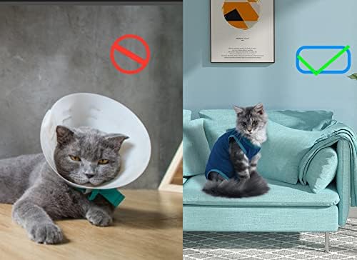 Обнова на мачки за абдоминални рани, костум за обновување на операција на мачки за мачки по операција, костум за обновување на мачки, мачки
