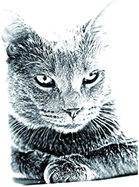 Уметност Куче Оод. Шартро, Овален Надгробен Споменик Од Керамичка Плочка со Слика на мачка