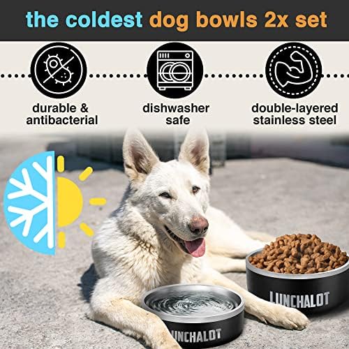 Бавни садови за кучиња за кучиња Голема раса - пондерирана храна од не'рѓосувачки челик и чинија со вода од ручек - тешки изолирани јадења за миленичиња со средна го?