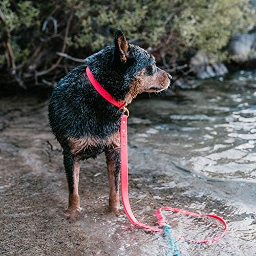 PawFurEver Водоотпорен Куче Јака Водоотпорен &засилувач; Рефлексивни Куче Јака-За Надворешна И Секојдневна Употреба-Достапни во 7 Бои-Направени