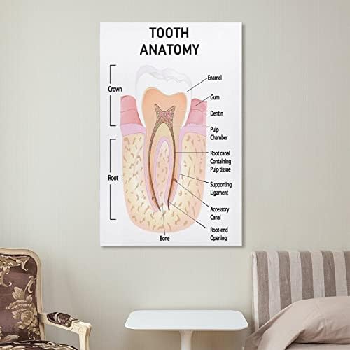 Bludug Canvas Print Dental Health Poster Dental Clinic Decor Decor Заб Анатомија платно за сликање постери и отпечатоци wallидни уметности слики за дневна соба декор за спална соба 08x12inch