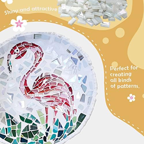 Litmind бела серија Неправилно витраж мозаични плочки за уметнички занаети, 8,8oz вредност пакет мозаик што прави материјали, комплети за мозаик за возрасни