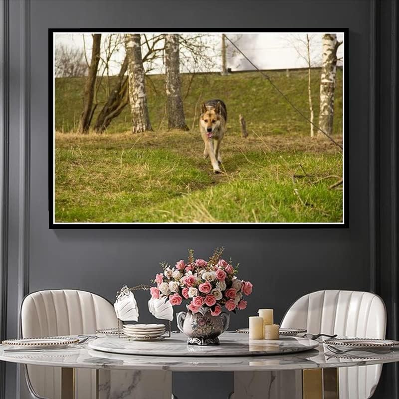 Германски овчар симпатично домашно милениче куче DIY 5д дијамантски комплети за сликање пејзаж животно DIY уметности занает за домашен wallиден декор роденденски пода?