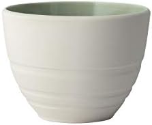 Виларој и Бох натпревар Минерален кригла Лис Дизајн Елегантна чаша за специјални чајни моменти Премиум порцелан зелена бела машина за миење