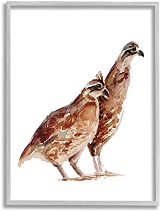 Sumn Industries Quail Bird Pair Детска расадник акварел сликарство диви животни сиви врамени wallидни уметности, 11 x 14, кафеава