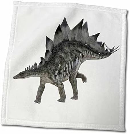 3drose Boehm Graphics Dinosaur - Stegosaurus Одење десно - крпи