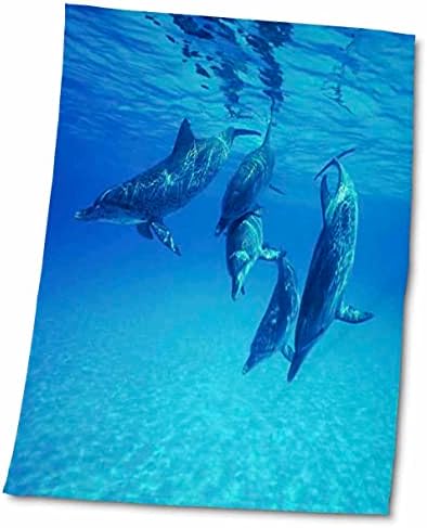 3drose делфини подводна крпа, 15 x 22, бело